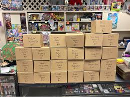 Collectibles & Mystery Boxes